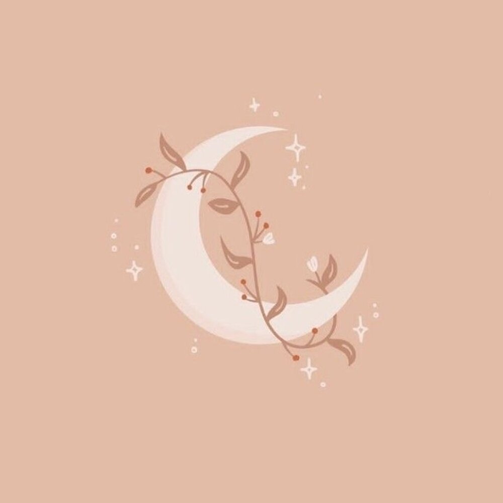 ✨Unlisted Items 051-100✨